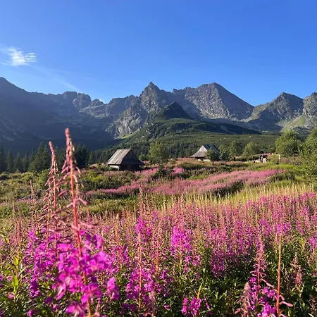 Didi Centrum Apartman