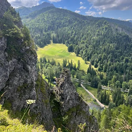 Didi Centrum Lägenhet Nowy Targ