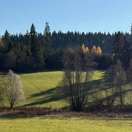 Didi Centrum Nowy Targ