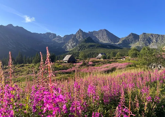 Didi Centrum Apartman