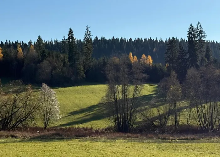 Didi Centrum Nowy Targ